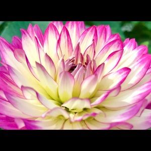 Meet your Posher, Karin